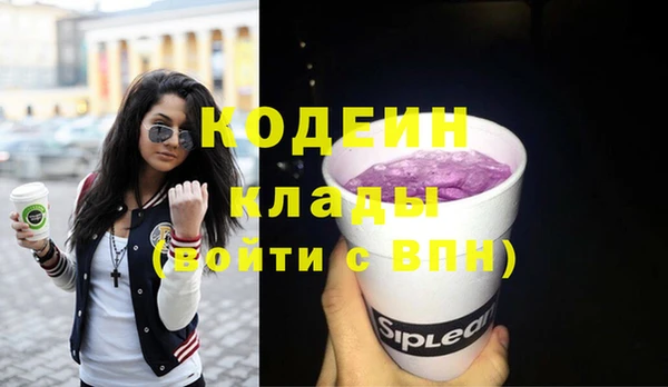 ПСИЛОЦИБИНОВЫЕ ГРИБЫ Арсеньев