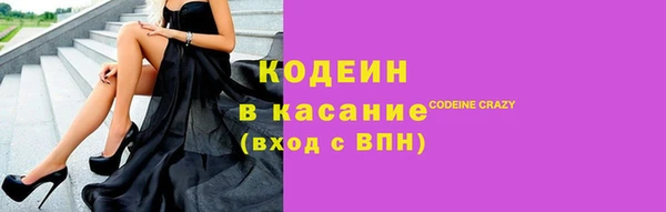 ПСИЛОЦИБИНОВЫЕ ГРИБЫ Арсеньев