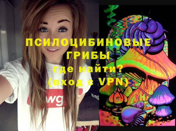 ПСИЛОЦИБИНОВЫЕ ГРИБЫ Арсеньев