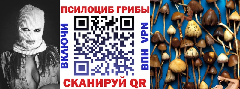 Псилоцибиновые грибы прущие грибы  купить закладку  Ленинск 